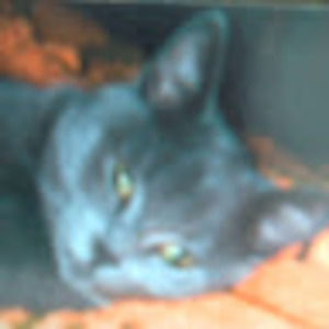 Meet your Posher, Ana